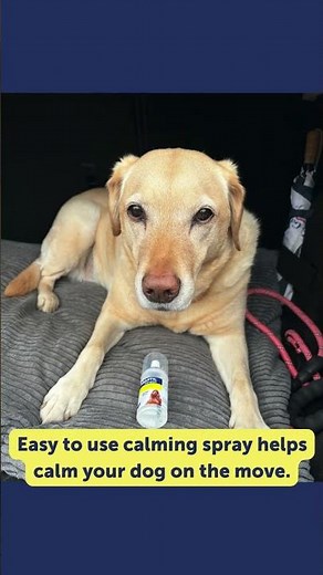 Is your dog panting, barking or restless in the car? For a peaceful journey, use THIS calming spray!