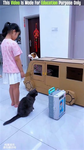 The Going To Hospital 😨| New Viral Gadgets, Smart Appliances, Kitchen Utensils/ Home Inventions