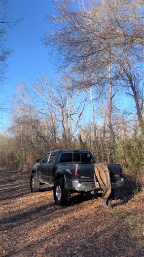 Discover What I Got: Unboxing the Digrigs Collection