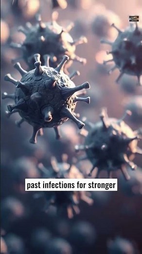 45 IMMUNE SYSTEM BASICS, DEFENSE MECHANISMS OF THE BODY #50LAM_ANATOMY_ENG