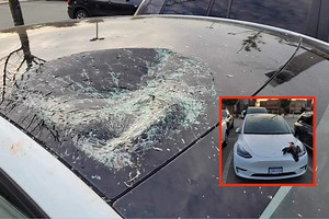 Tesla Glass Roofs Are Strong, but They're Still No Match for a Falling Bird