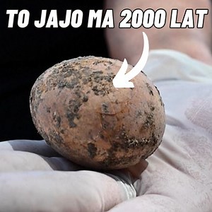 Najdziwniejsze odkrycia, których nauka nie potrafi wyjaśnić. #tajemnice #archeologia #ciekawostki #historia #odkrycia | Niezwykłe Odkrycia