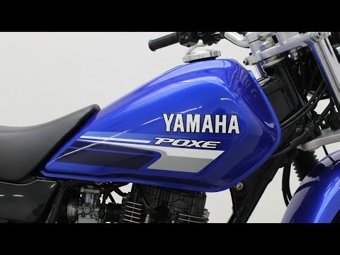 Yamaha SCR950 — The Retro Scrambler That Does It All | Full Review & Ride Experience | Throttle USA