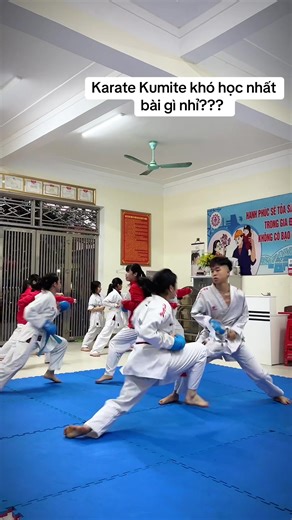 Karate Kumite Techniques Explained