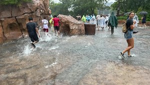 81K views · 664 reactions | A sudden heavy rainstorm in Orlando caused water to gather quickly at the exit of Universal’s Islands of Adventure. | Attractions Magazine | Facebook