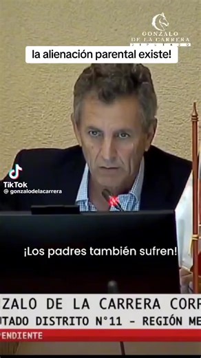 la alienación parental si existe, pero para conveniencia del ministerio de la mujer no, para ellas si existe la violencia vicaría pero en el sentido contrario no existe, una locura lo que hacen las ministras y diputadas feministas! #fypシ #NNA #crianzacompartida #psicologoschile #comisionfamilia