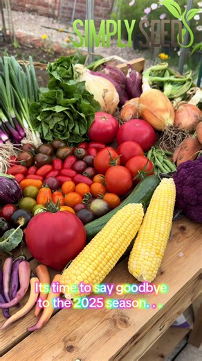 What a fantastic growing season 2025 was. . Here’s to a wonderful 2026! Happy new year and happy growing 🌱 #gardening #growyourown #newyear #growfood #gardentok