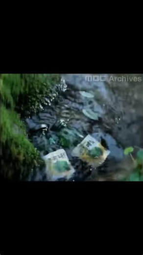 Gwangju Azoic Assault (@sejarah.rtl9.tivo)’s videos with original sound - Gwangju Azoic Assault