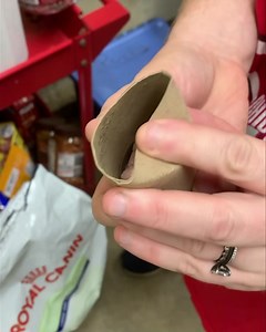 4K views · 59 reactions | Want to make an easy dog enrichment activity? Use a toilet paper roll or a paper towel roll. Fold in one side, put a few treats inside it and fold in the open side. Great activity for kids to do to help keep our dogs entertained and happy in their kennel. See the videos below of the dogs curious about them and wanting to get to the treats. #dogenrichmentideas #fahs | Florence Area Humane Society | Facebook