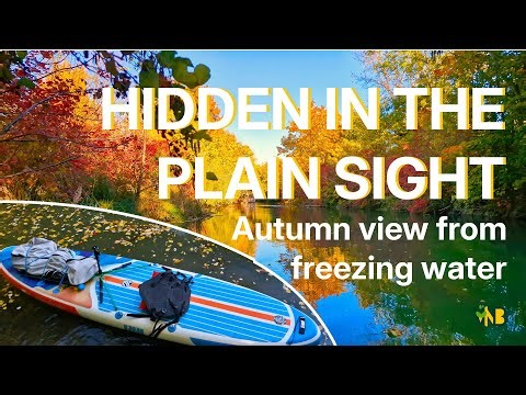 I Found a Secret Autumn World on My Paddleboard!
