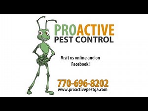 Pest proof your home: Simple ways to reduce the amount of pests in and around your home