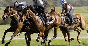 What is A Trifecta Bet? Kentucky Derby Horse Betting Trifecta Bets Explained