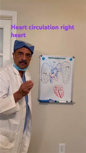 Right heart blood circulation