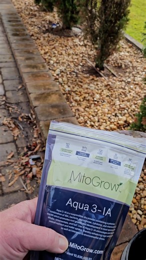 Mitogrow: Enhancing Root Growth for Healthier Trees