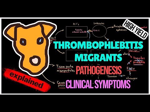 Thrombophlebitis migrants (Trousseau syndrome) Pathogenesis. Symptoms. Treatment.