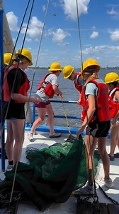 Sea Turtle Camp on Reels | Facebook