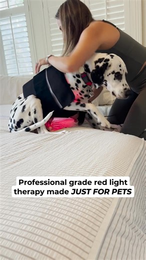 🐶✨ Is your furry best friend not as playful as they used to be? Whether it’s stiff joints, sore muscles, or simply the signs of aging, they deserve comfort and care that truly works. 💛 With Pet Light, you can give your pet gentle, clinic-grade red light therapy right at home. It helps them move easier, recover faster, and feel happier every day. 🐕🐾 They’re not just a pet. They’re family. ❤️ 👉 Help them shine brighter with Pet Light today. | Pet Light