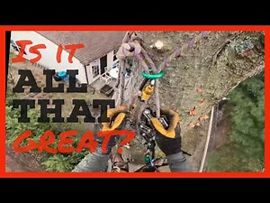 Silky Smooth Climbing with the Rope Runner Pro Removing a Quercus Rubra