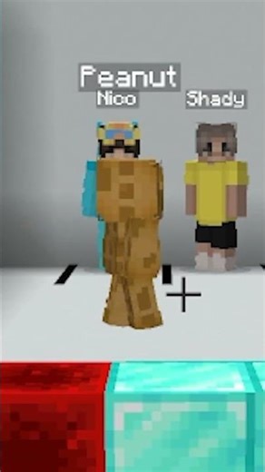 Minecraft COLOR MATCH! 3