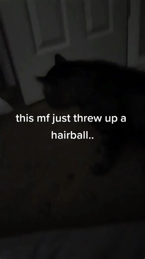 mango is yummy (@smurfeetfungus)’s videos with My sound is blowing up - LLS🙏🏿🕊