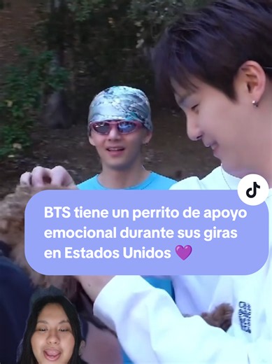 stoney el perrito de apoyo emocional de bts #arirangtour #jungkook #biasjungkook #jk