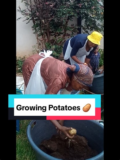 Maximize Savings with Potato Farming Techniques