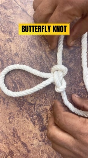 Butterfly Knot Tutorial | How to Tie an Alpine Butterfly Knot #shorts