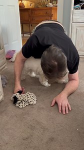 7.4K views · 658 reactions | Pickles loves when Papa gets down to his level to play with him and enjoy some male bonding ❤️ #funnydogsofinstagram #westies #westie #doghumor #dogsandpals #dogsofinstagram #lovemydog #doglife #doglover | The Piper Chronicles | Facebook