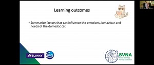 Stress in Cats, Dogs and People Webinar Series. Part 2: Cat Stress in Practice – Finding Solutions to Improve Patient Experience