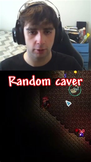 I saved a lost girl and got called a fraud... #terraria #gaming #memes