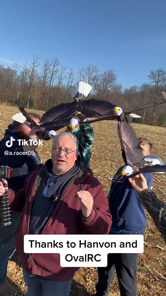 Go Go Birds Flying: Remote Control Bird Toy Demo