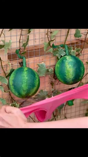 Life hacks tips home | Life tips and facks