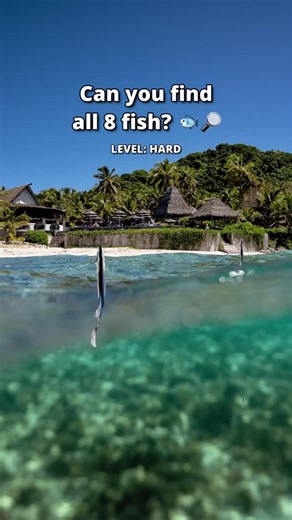 PADI on Instagram: "Only the sharpest eyes will spot the last one! 👀🔎"