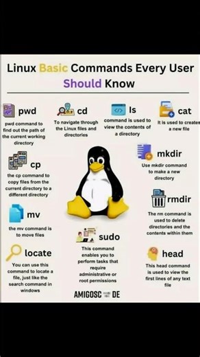 Linux Basic Commands Everyone Should know 😬🙌🏻 #programming #linux #python