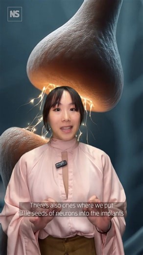 The new biotechnology that could rebuild our bodies 🧬🩺 From brain implants to pacemakers, millions of people worldwide have devices of all kinds inside of them to help repair their damaged or failing bodies. However, rigid, artificial hardware just doesn’t sit well with the soft and squishy human body; eventually, the immune system turns against these foreign materials. Now, however, a new type of electronics is being developed in labs around the world that might just change all this. The visi