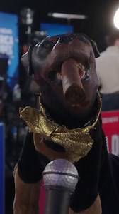 Triumph the Insult Comic Dog reports from the spin room after a VP debate | The Daily Show