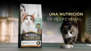25K views · 498 reactions | Purina Pro Plan on Reels | Facebook