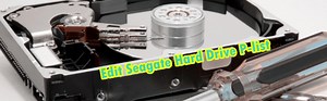 How To Edit Seagate Hard Drive P-list - Dolphin Data Lab