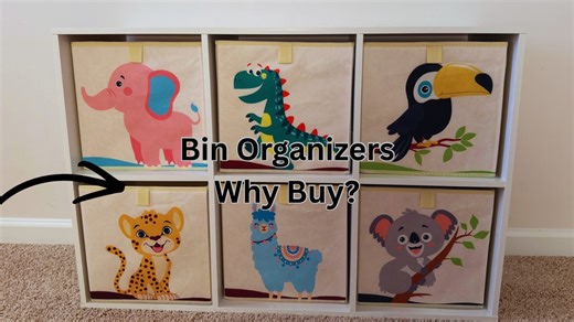 Watch Storage Bin Organizers. Watch Before You Buy! on Amazon Live