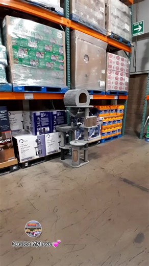 Torre o Árbol para Gatos en Costco Metepec 💕 11/02/26 #costco #cat #gatos #housecat #torre