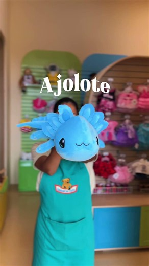 ¡Conoce a nuestros Tutus! 🧸💕