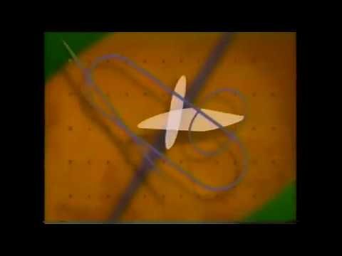 Dualstar Entertainment Group/WarnerVision Entertainment (1995)