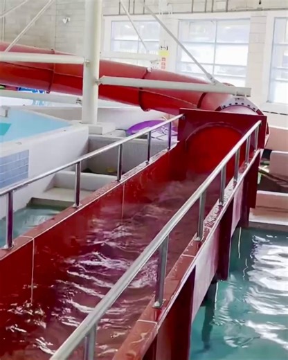 Half Term = Splash Time💦 Grab the kids your goggles and your best pool dance moves - Swim, Slide & Waves is back 🌊 🎟 Sessions from £23 for families, £6 for kids, or £8.50 for adults 📅 ALL week during October 1/2 Term! 🔖Dive into more info & book your spot via our app or website: https://www.activetameside.com/attractions/swim-slide-and-waves/ #HalfTerm #FamilyFun #SwimTime #Waves #Slides | Active Tameside