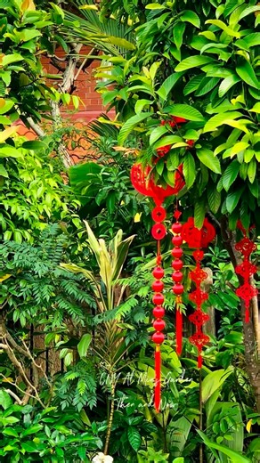 irenengoo on Instagram: "There was a time when Chinese New Year meant lanterns glowing in the trees, scarlet 福 gracing wrought-iron gates, willow branches adorned with red packets, azaleas bursting into celebratory bloom. This year, we welcome our first Lunar New Year in Min’s Garden 2.0. The space is smaller. The mood gentler. The gestures simpler. Yet red still sings against green. Blessings still frame the doorway. The setting has changed — the spirit has not. Min’s Garden continues — in a so