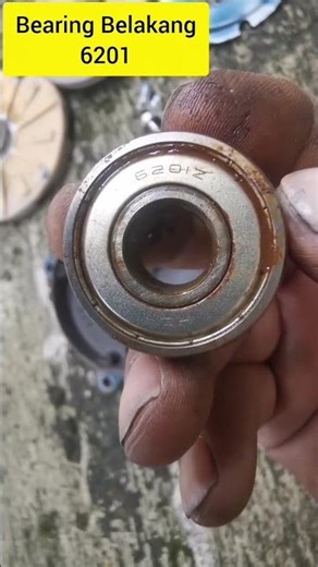 These are two Panasonic 250watt jet pump bearing codes.