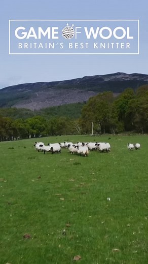 The Yarn Barn coming through with the outfits ✨ The Week 2 looks as described by the contestants 🧶 Catch up on #gameofwool on @channel4 with new episodes Sundays at 8pm 🐑 | Game of Wool