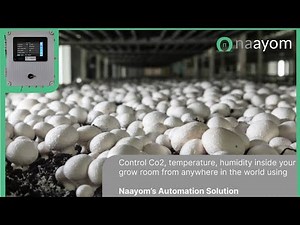 Control CO2, Temperature, Humidity in Mushroom farm, Automation via Naayom Mobile App, IOT enabled