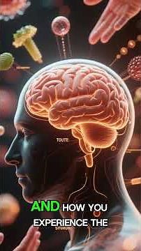 Brain Expert Reveals 3 Key Differences Between Your Brain and Mind