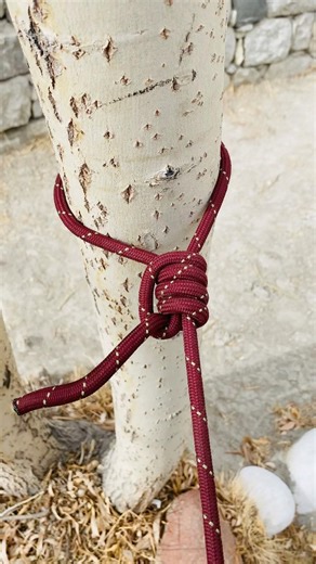 Unique and useful knots for anchoring #adventure #climbing #diy