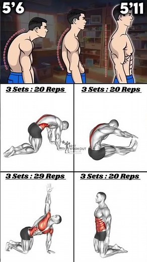Best Back Workout Routine | Build Muscle Fast